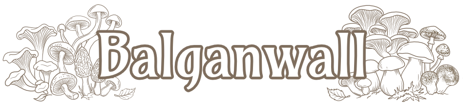 Balganwall